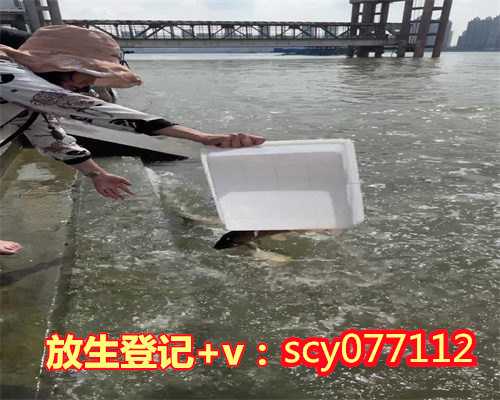 辽宁哪里能放生红鲤鱼，辽宁省副省长潘利国