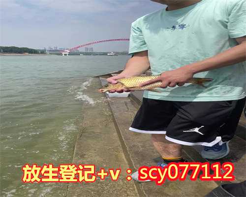 广州放生什么转运，广州放生的甲鱼十种功德，放生功德回向文