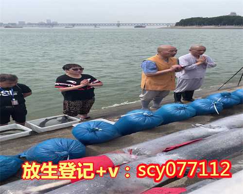 武汉放生鱼地点公布，国宗局调研组一行到湖北武汉调研基督教工作