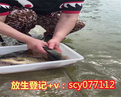 北京顺义哪里可以放生小鱼，北京新增8例，详情公布