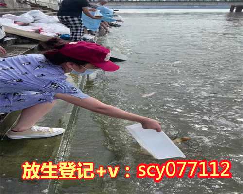 北京顺义哪里可以放生附近放生的地方，北京数十人臭水中放生500斤活鱼鱼入水