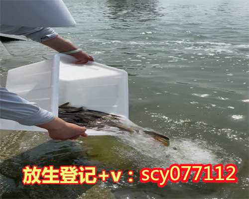 北京放生园放生乌龟，北京新增8例，详情公布